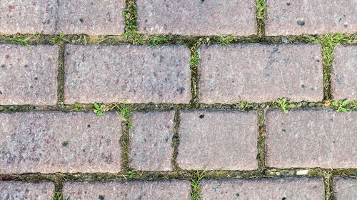 Full frame shot of brick wall