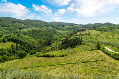 Scenic view of agricultural field against sky