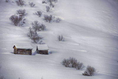 Scenic view of snow covered field