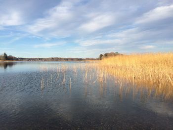 Scenic view of lake against sky