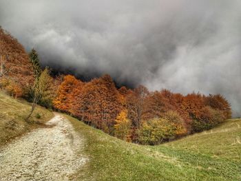 Plants on land against sky during autumn