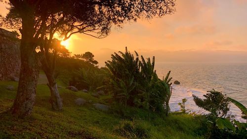 Scenic view of sea against sky during sunset