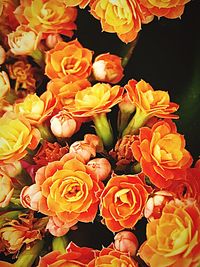 Close-up of flower bouquet