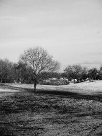 Bare trees on field against sky