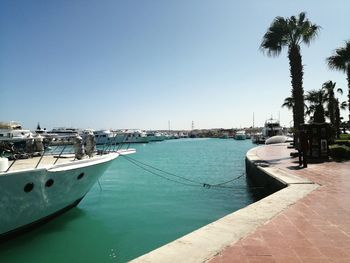 Sailboats moored in sea against clear sky