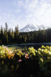 Scenic view of lake by trees against sky