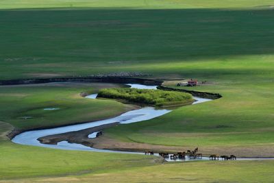 Horses drinking water at river