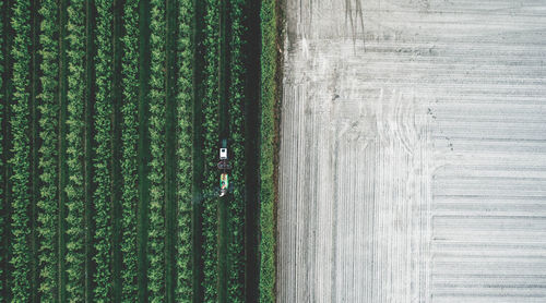 Aerial view of agricultural field