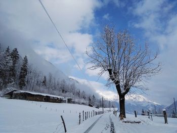 Bare tree in snow covered mountains against sky