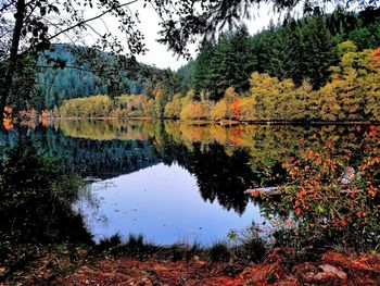 Reflection of trees in lake during autumn