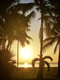 Silhouette palm tree by sea against sky at sunset