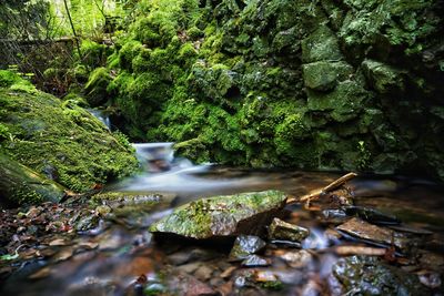 Stream flowing through rocks in forest