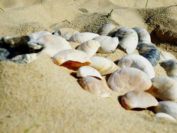 Close-up of sand on beach