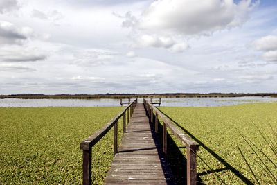 Reserva natural otamendi - typical humid pampa vegetation