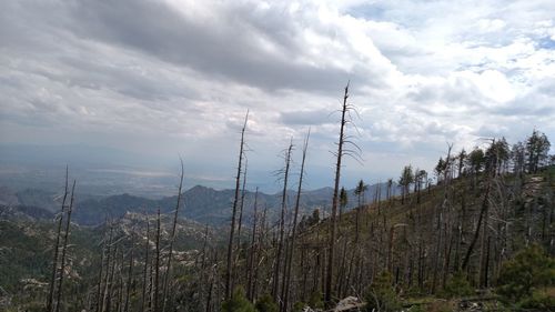 Scenic view of landscape against cloudy sky