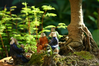 Close-up of tree trunk in forest