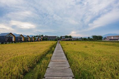 Footpath amidst houses on field against sky