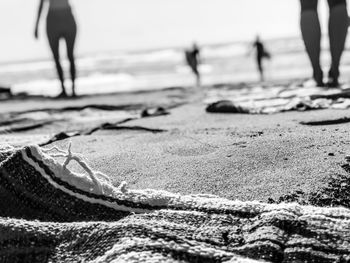 Low section of people at beach