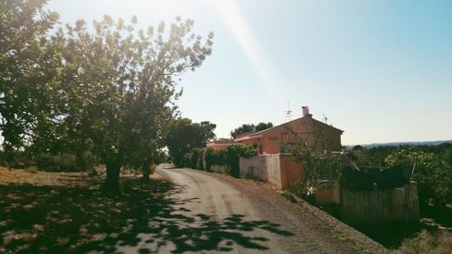 Empty road along trees and houses against clear sky