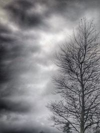 Low angle view of bare trees against cloudy sky