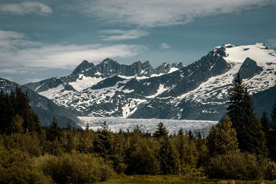 Mendenhall glacier, alsaka. gletscher. glacier, juneau, snow