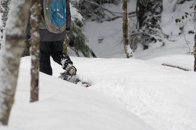 Low section of person skiing on snowcapped mountain