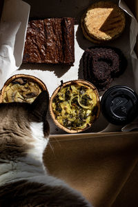 High angle view of cat on table