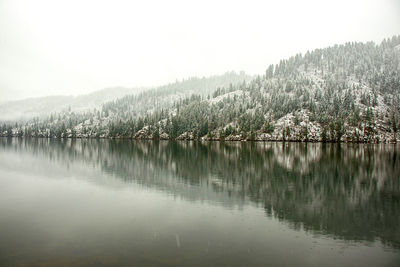 Scenic view of lake by trees against sky