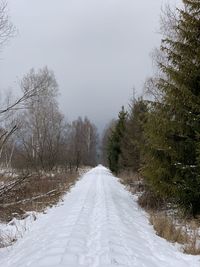 Road amidst trees against sky during winter