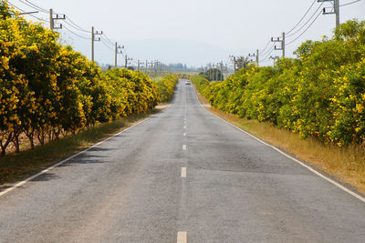 Road amidst plants and trees against sky