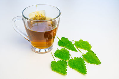 Nettle infusion in transparent cup, a sachet in water, a white saucer  and nettle leaves. 