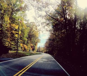 Road amidst trees against sky seen through car windshield