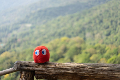 Close-up of red toy on wooden railing against mountains