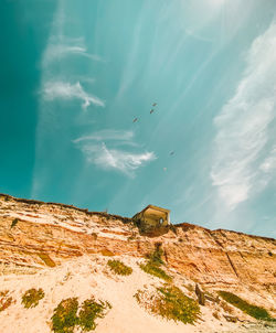 Low angle view of birds flying over sea against sky