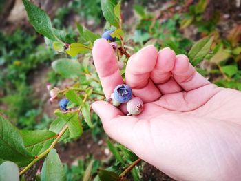 Close-up of hand holding small finger