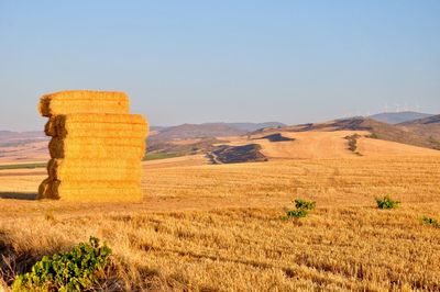 Scenic view of farm against clear sky