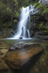 Scenic view of waterfall in forest