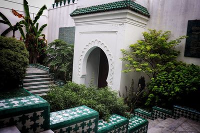 Potted plants outside building