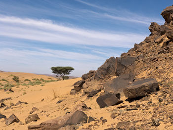 Rock formations in desert against sky