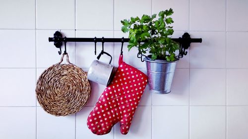 Close-up of oven mitt with potted plant and mug hanging on tiled wall
