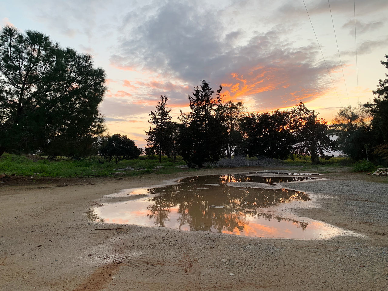 REFLECTION OF TREES IN PUDDLE ON ROAD AGAINST SKY DURING SUNSET