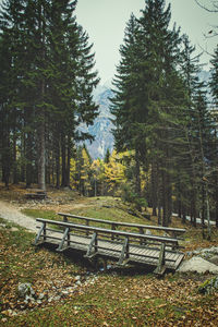 Empty bench in park against sky