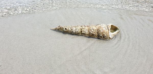 High angle view of cigarette on sand at beach