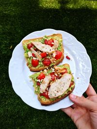 Cropped image of hand holding sandwiches in plate