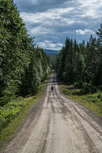 Cyclist in forest at sagvollen, innland, norway