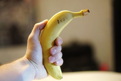 Close-up of hand holding fruit