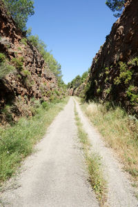 Road amidst trees against clear sky