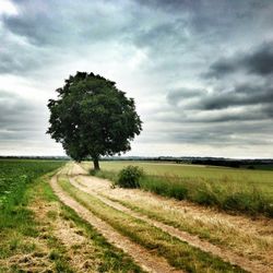 Scenic view of grassy field against cloudy sky