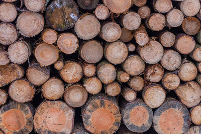 Full frame shot of logs