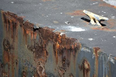 High angle view of birds on street